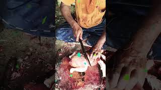 Mondal chicken centre my short videos [upl. by Lavern]