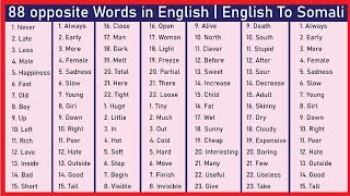 88 opposite Words in English  English To Somali [upl. by Jemima]