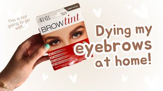 Try out the Ardell Brow Tint with me amp UPDATE [upl. by Means947]