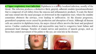 part 1 Gram positive Rods Lect 7 B 341 [upl. by Darla]