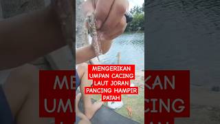 Mengerikan Umpan Cacing Laut mancingwaderdispotpinggirjalan fishing [upl. by Donatelli]