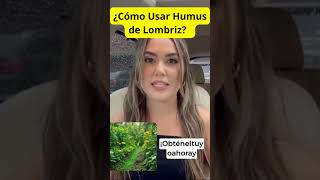 ¿Cómo Usar Humus de Lombriz [upl. by Isnam]