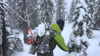 Caribou Lake Backcountry Ski Tour [upl. by Dexter398]