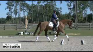 Use Cavalletti to Improve Trot Lengthenings [upl. by Bil642]