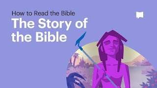 The Story of the Bible • What Its About From Beginning to End [upl. by Lathan835]