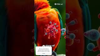 breathing parrotlover parrotvideo viralshorts psittacidaearoundtheworld psittacidae avianflu [upl. by Gnal]