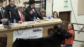 John Korrey Auctioneer calls the Junior Livestock Champions auction [upl. by Luis861]