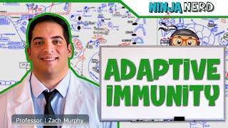 Immunology  Adaptive Immunity [upl. by Geoffrey]