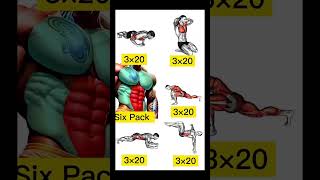 No Equipment Chest Triceps amp Abs  Perfect full body workouts abs chest MusclelegsArms [upl. by Marlette666]