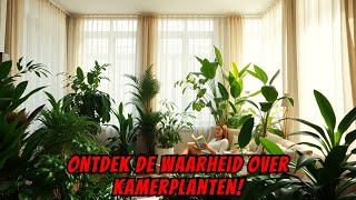 De WAARHEID over de VERZORGING van KAMERPLANTEN 🌿🏡 [upl. by Ainafetse]