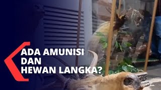 Kasus Lamborghini Koboi Ditemukan Amunisi dan Hewan Langka [upl. by Littell273]