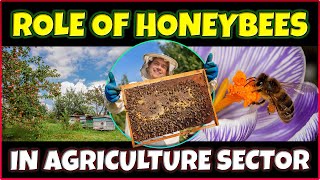 Importance of Honey Bees in Agriculture  Role of Honey bee in Agriculture [upl. by Arataj898]