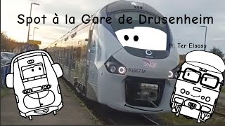 Spot à la Gare de Drusenheim Compilation Regiolis ft terelsass172 [upl. by Nede294]