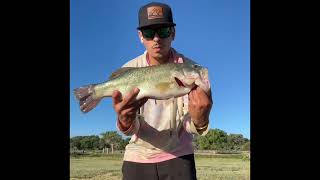 Bass Fishing Isleta Lakes Best Day Ever Giant bass landed [upl. by Natsud]