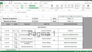 Ejemplo Plan de Auditoria Excel [upl. by Pallaton]