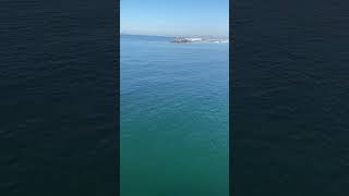 Strolling around the Redondo Beach pier losangeles [upl. by Lovell]