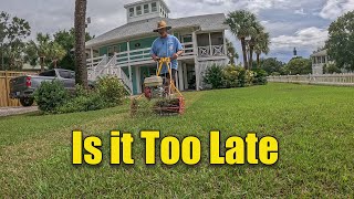 Late Season Lawn Renovation  When is Too Late [upl. by Arria]