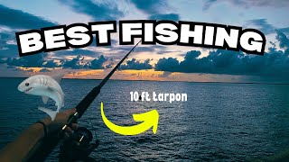 BEST FISHING SPOTS IN TAMPA FLORIDA skyway bridge [upl. by Noicpesnoc]