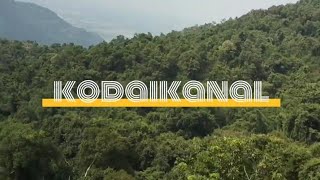 Trip to Kodaikanal🍂travel kodaikanal lake nature tamil gunacave pillarrock pinetree forest [upl. by Edbert]