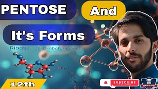 PENTOSES  structure of Ribose and Ribulose  biomolecule biology ribose [upl. by Lybis]