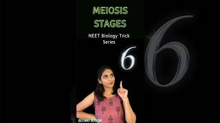 Meiosis stages📝  Cell cycle and cell Division shorts neet ytshorts [upl. by Yasu]