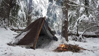 Solo Winter Camping in Heavy Snow  Overnight in Tarp Shelter [upl. by Ardnayek]