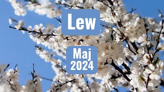 Lew  horoskop maj 2024 [upl. by Ahsekahs]