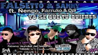 Yo Se Que Tu Quieres Remix  Falsetto amp Sammy Ft Ñengo Farruko amp Opi ★HoyMusicCom★ [upl. by Nataniel]