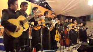 Rondalla La Fe  En Boca del RIo VerBaby [upl. by Htenek]