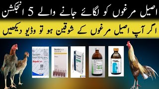 Aseel murga ki bemari ka ilaj  aseel murgon ki bemari k injection  asil murga injection kesy lagyn [upl. by Beera744]