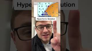 Isotonic Hypertonic Hypotonic Solutions [upl. by Salb]