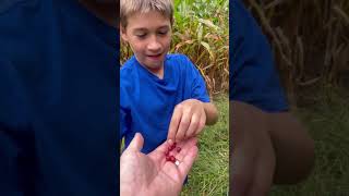 Nothing like fall familytime outdoors raisingboys america home jelly [upl. by Ecirtak]