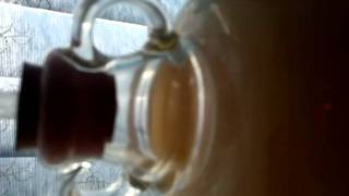 Turbo cider fermenting [upl. by Magdala]