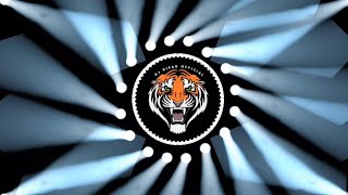 dj song trance remix Tiger sounds  VickyLyrics07 [upl. by Retsub]