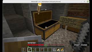 solominer minecraft server1491021400 [upl. by Avat]