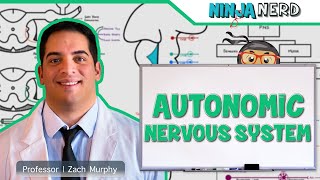 Neurology  Autonomic Nervous System [upl. by Beeck886]