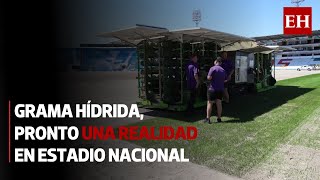 Así es la instalación de la nueva grama híbrida del estadio Nacional quotChelatoquot Uclés [upl. by Hallee]