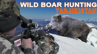 Wild boar hunting in Tajikistan  Chasse au Sanglier au Tadjikistan  2021 [upl. by Droffats]