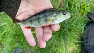 Fishing The Canal For Perch [upl. by Charbonneau]