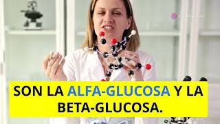 Macromoléculas esenciales para la vida azúcares proteínas lípidos y ácidos nucleicos [upl. by Thalassa]