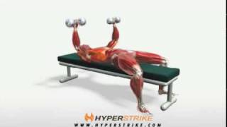 Exercise Videos Dumbbell Bench Press [upl. by Mariejeanne]