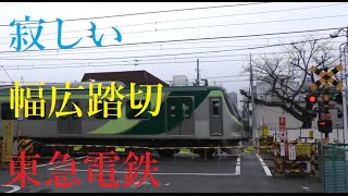 【踏切】寂しい幅広踏切 東急多摩川線 沼部～鵜の木 [upl. by Oisangi562]