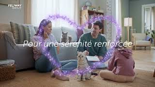 FELIWAY Optimum pour une sérénité renforcée de toute la famille [upl. by Delaryd]