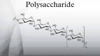 Polysaccharide [upl. by Kesley961]