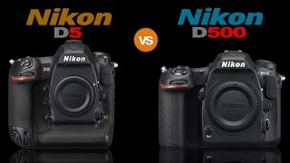 Nikon D5 vs Nikon D500 Full Camera Comparison [upl. by Gable]