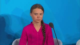 Greta Thunberg feat FLER  How dare you du Fanboy [upl. by Llenej821]