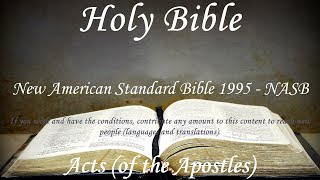 English Audio Bible  Acts of the Apostles COMPLETE  New American Standard Bible 1995 NASB [upl. by Fridlund12]