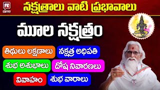 నక్షత్రాలు వాటి ప్రభావాలు  మూల నక్షత్రం  Moola Nakshatra Characteristics In Telugu [upl. by Benedetto576]