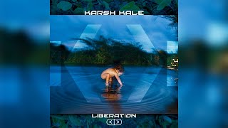 Karsh Kale  Letting Go Official Audio [upl. by Etnahc928]