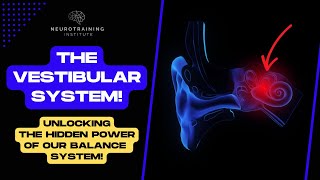 The Vestibular System  Unlocking The Hidden Powers Of Our Balancing System 🧠 [upl. by Ringler236]